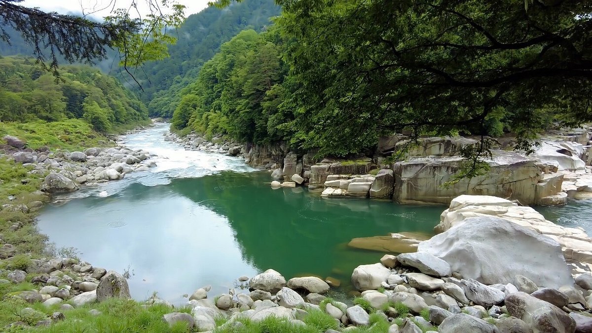 🏞️ 국영 기소산센 공원 와일드네이처 플라자(고쿠에이키소산센코엔 와이루도네이차푸라자) 이미지 7